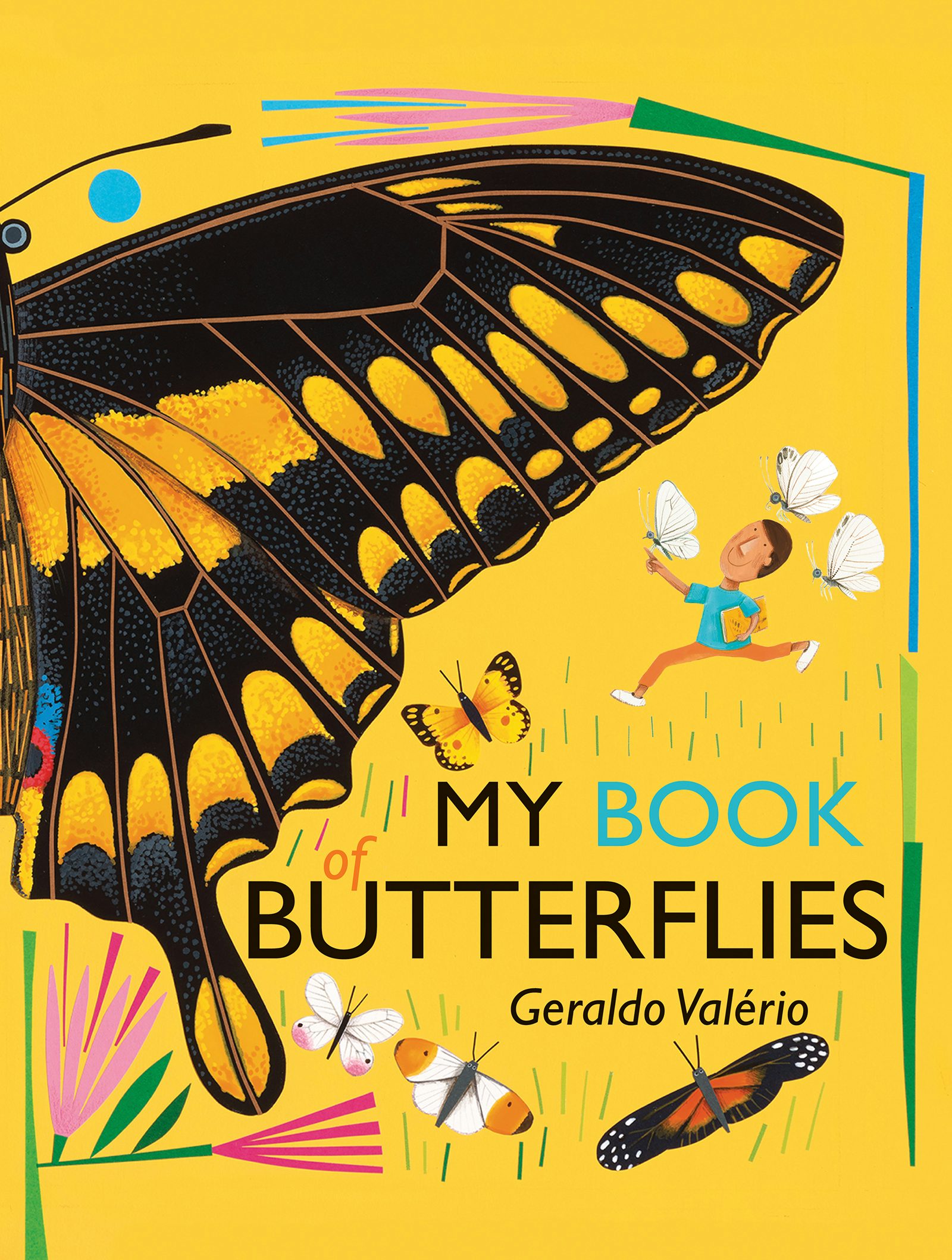 Book cover image for My Book of Butterflies ISBN: 9781773063355